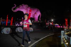 BIB: 
                            <button type="button" onclick="openModal(26551965)" class="btn btn-primary btn-sm float-right btn-popup" data-toggle="modal" data-target=".modal-high-quality">
                        <i class="fas fa-shopping-cart"></i> Add to Cart
                    </button>
                                            <button type="button" onclick="isThisMe(26551965, true)" class="btn btn-success btn-sm float-right btn-popup btn-isme hidden" data-toggle="tooltip" data-placement="bottom" title="นี่คือรูปของคุณใช่ไหม คลิกที่นี่เพื่อเอาเข้าอัลบั้ม">
                        <i class="fas fa-plus"></i> Add to album
                    </button>
                    <button type="button" onclick="isThisMe(26551965, false)" class="btn btn-warning btn-sm float-right btn-popup btn-isnotme hidden">
                        <i class="fas fa-ban"></i> Remove from album
                    </button>